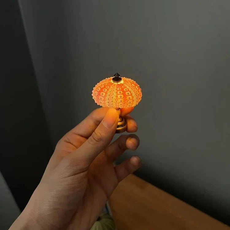 DIY Seeigel-Nachttischlampe: Kreatives Vintage-Ambiente