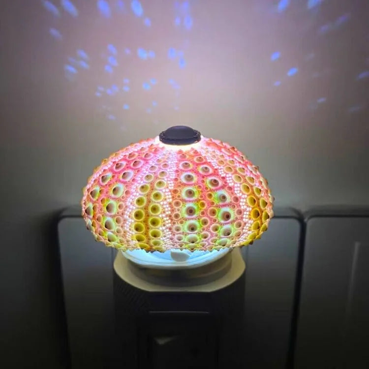 DIY Seeigel-Nachttischlampe: Kreatives Vintage-Ambiente