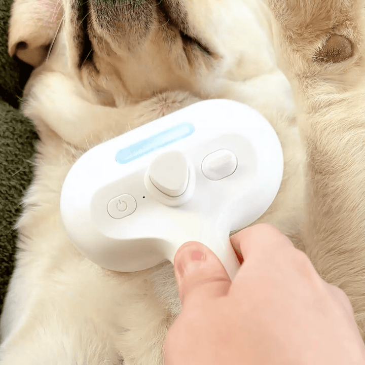 BrushPaw Dampfbürste für Hunde