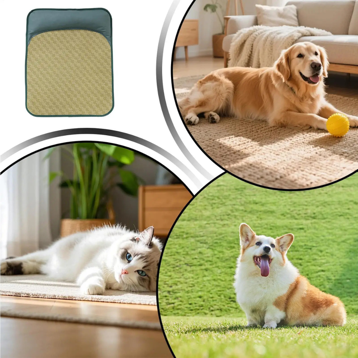 Grüne Kühlmatte mit Kissen für Hunde & Katzen, sorgt für frische Abkühlung am Tierbett im Sommer.