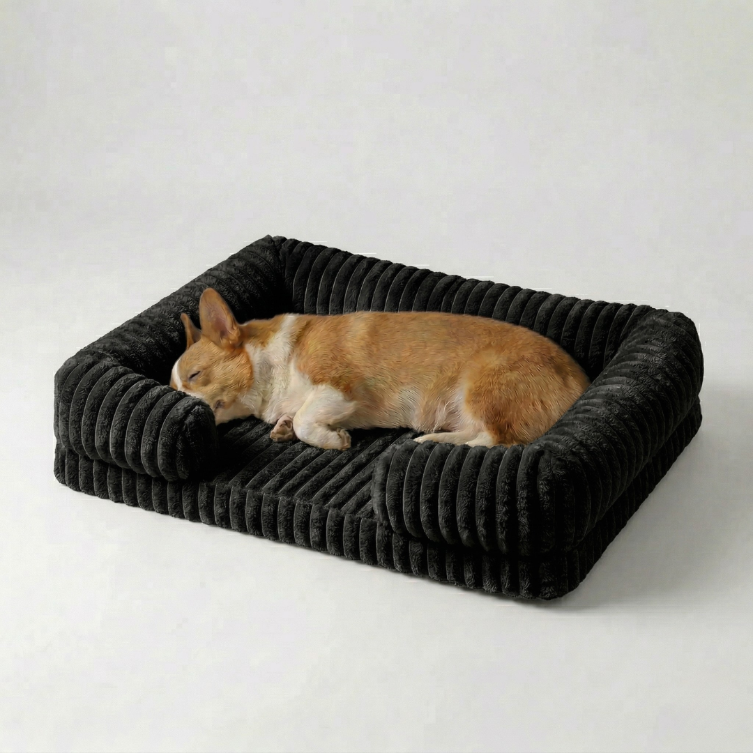 Glücklicher Hund entspannt auf dem orthopädischen Hundebett im Sofastil mit Memory-Schaum.
