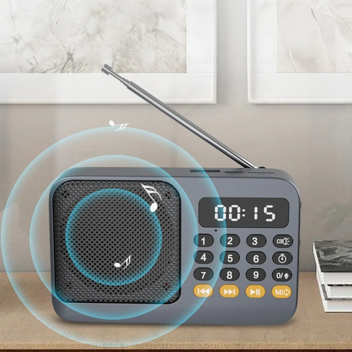 Vielseitiger Bluetooth Lautsprecher und Notfallradio in modernem Design
