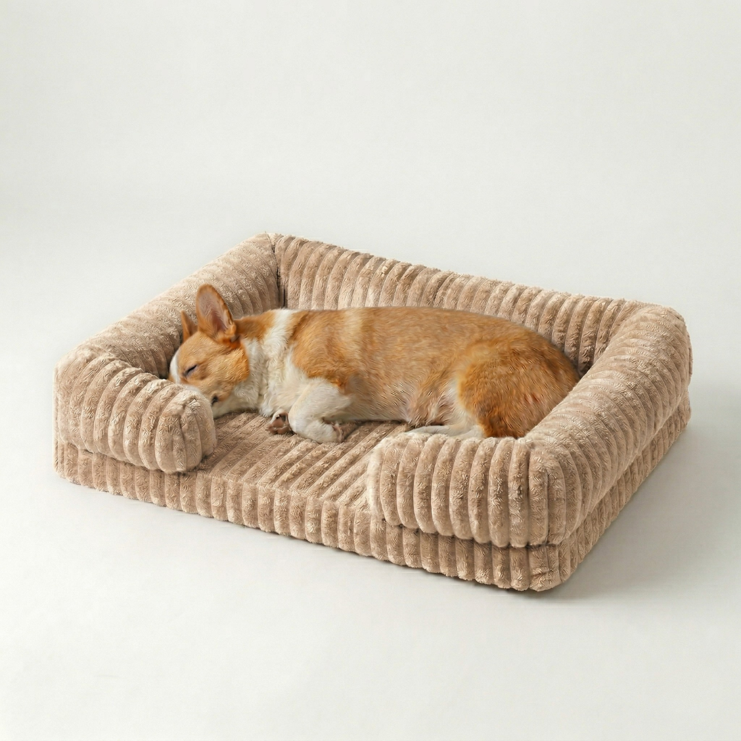 Kleiner Hund kuschelt im orthopädischen Hundebett im Sofastil, waschbar und plüschig.
