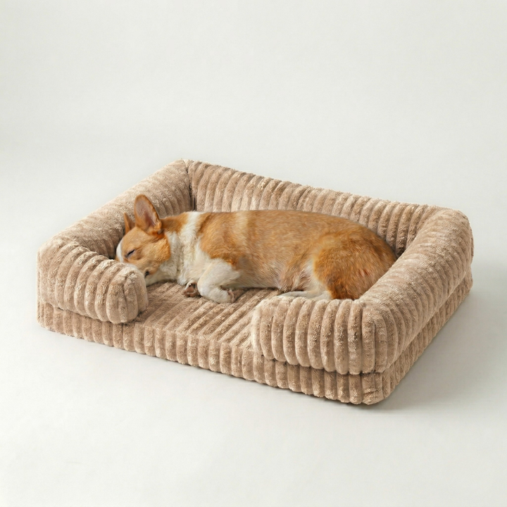 Kleiner Hund kuschelt im orthopädischen Hundebett im Sofastil, waschbar und plüschig.