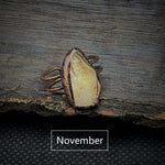 November & Citrin