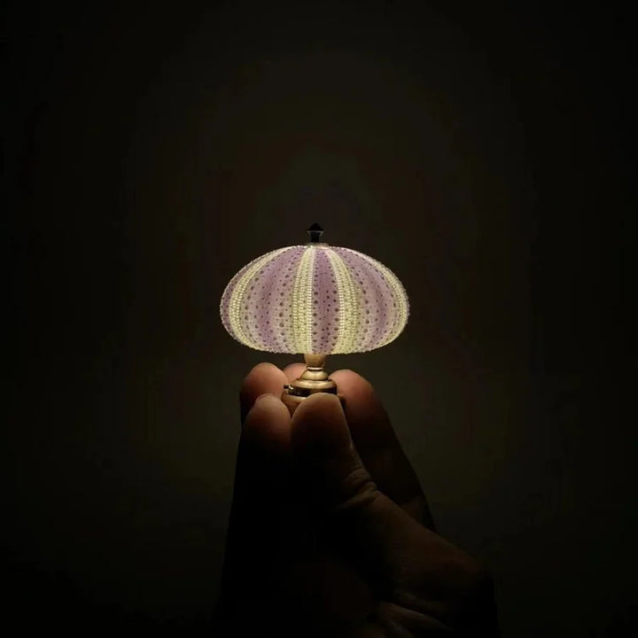 DIY Seeigel-Nachttischlampe: Kreatives Vintage-Ambiente