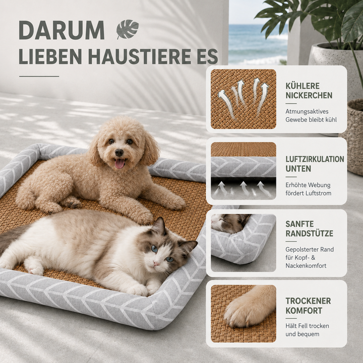 Atmungsaktives Katzenbett und Hundebett mit kühlender Oberfläche für heiße Tage