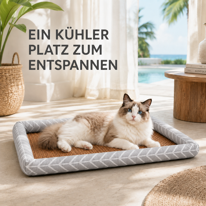 Kühlendes Haustierbett für Katzen und Hunde in stilvoller Wohnumgebung mit sommerlichem Ambiente.