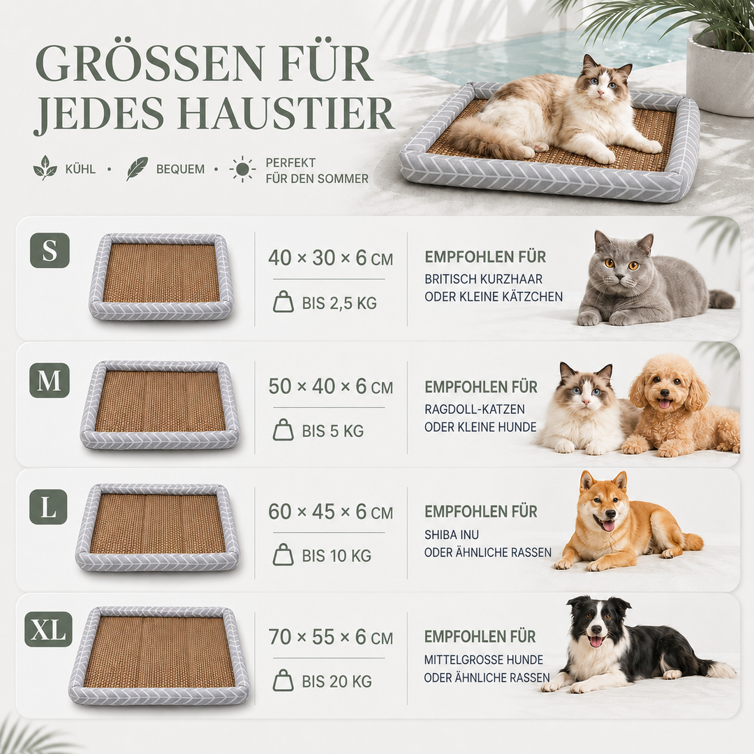 Stilvolles Hundebett und Katzenbett mit integrierter Kühlmatte für den Sommer