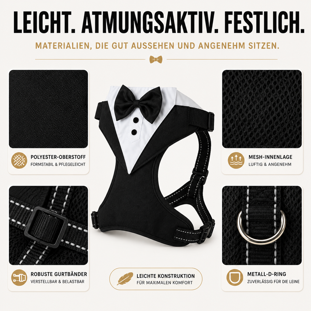 Hundegeschirr im Smoking-Stil mit Fliege, perfekt für besondere Anlässe und Fotoshootings.