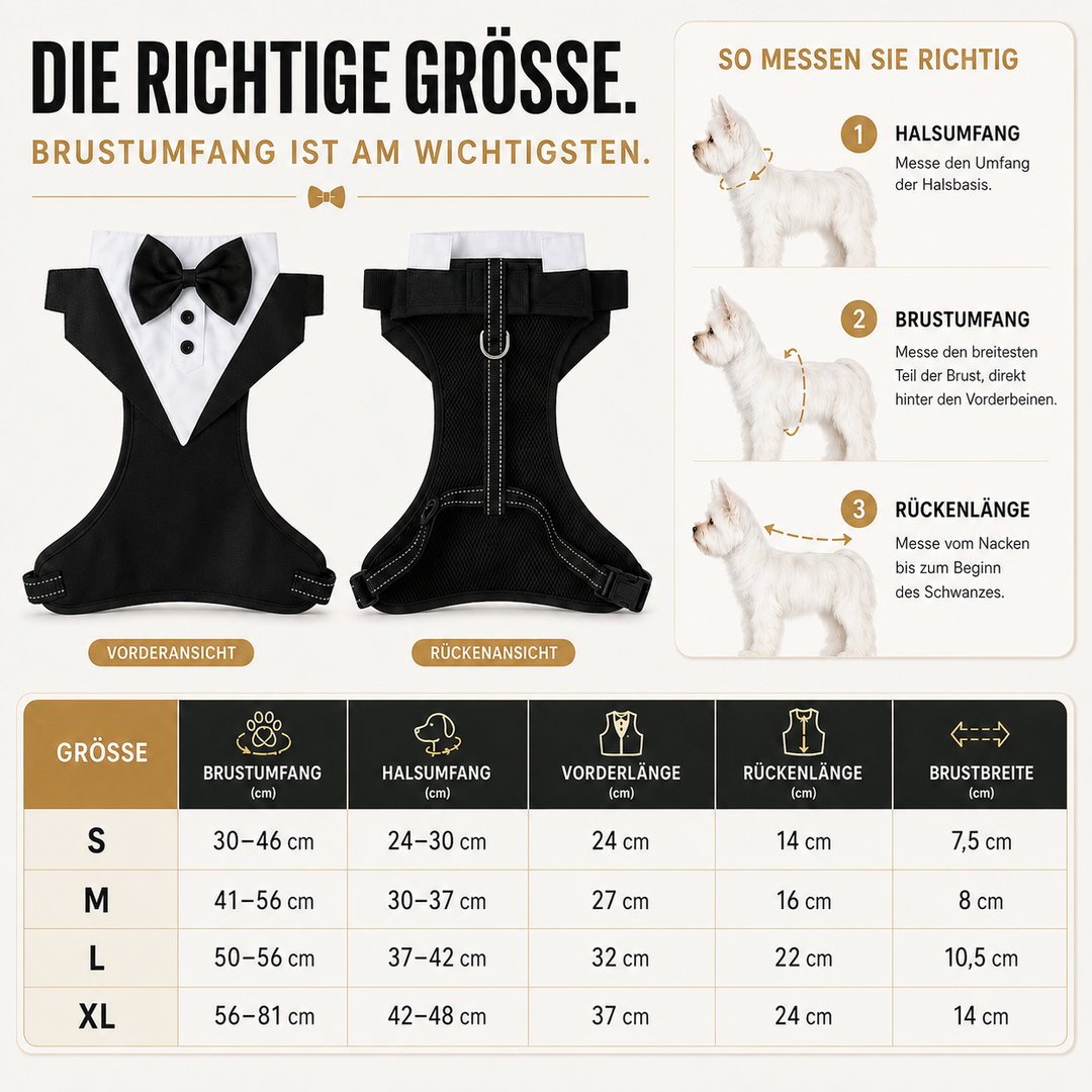 Hundemode: Schwarzes Smoking-Geschirr mit weißer Fliege für festliche Auftritte kleiner Hunde.