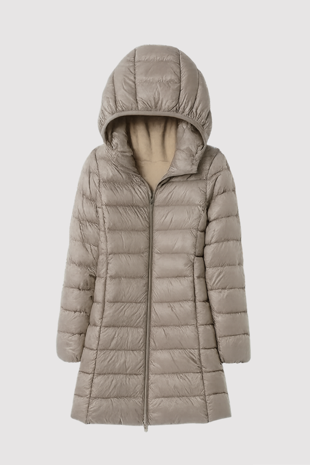 Damen Daunenjacke mit Kapuze in Champagner auf hellem Hintergrund