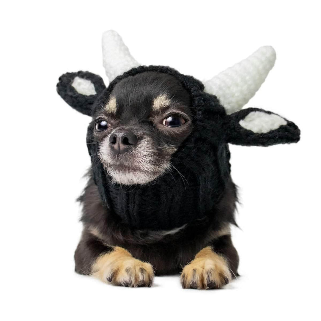 CozyUp Hundemütze – Gestrickt, Wärmend & Süß