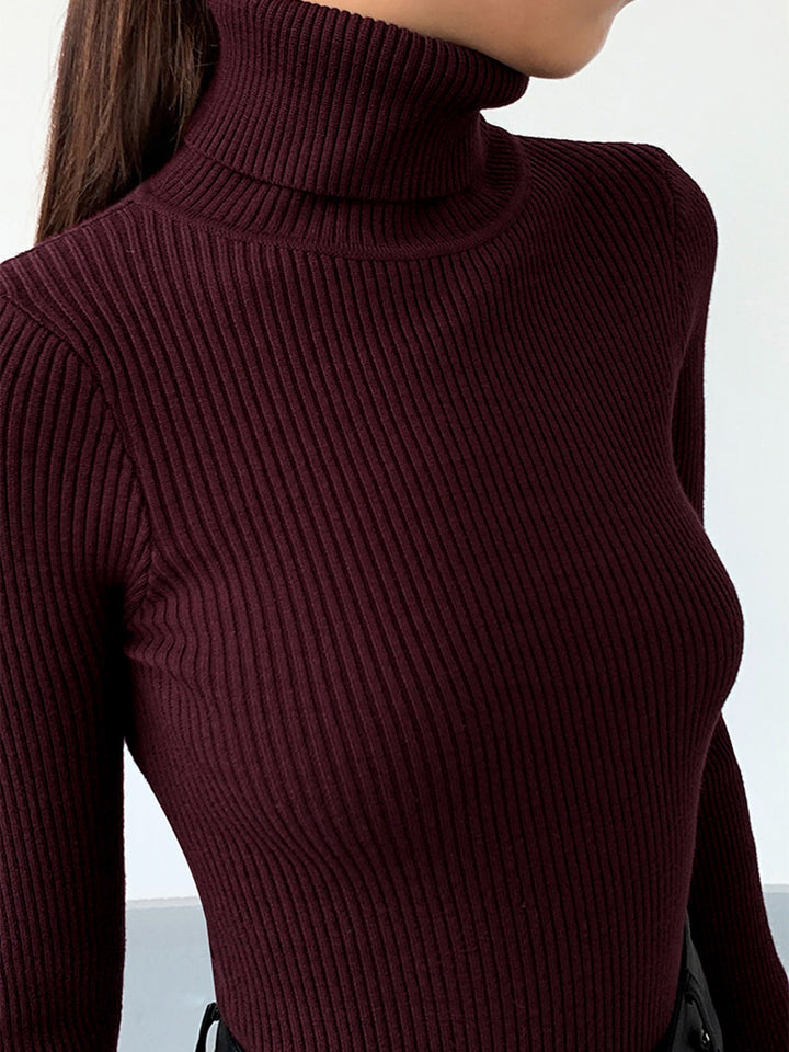 Eng anliegender Damen Rollkragenpullover, fein gerippt. Eleganter Langarmpullover aus weichem Strick für den Frühling.