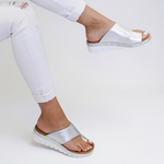 Silber
