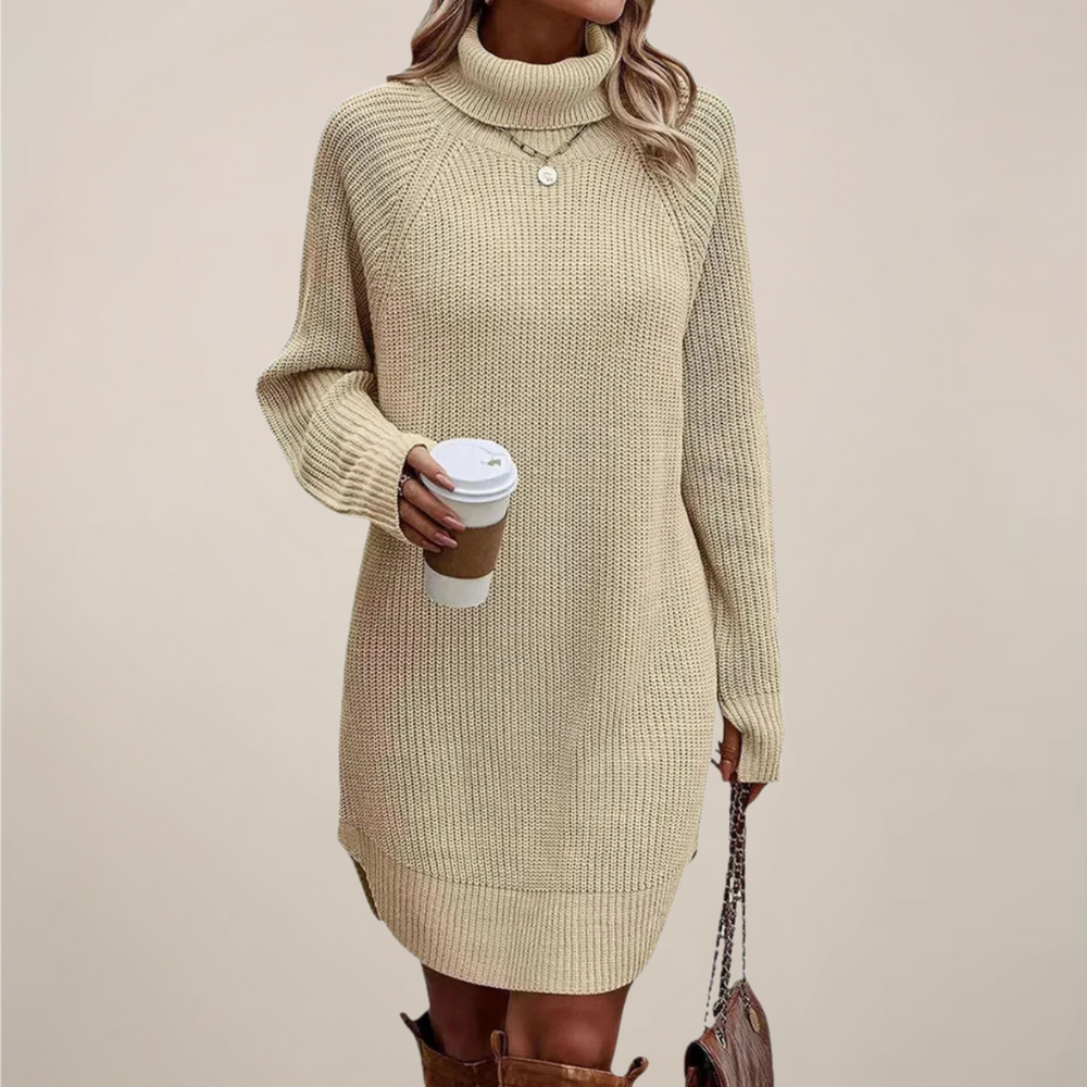 Weiches, warmes Damen Rollkragen-Pulloverkleid für kalte Tage. Perfekt als Langarmkleid für Komfort.