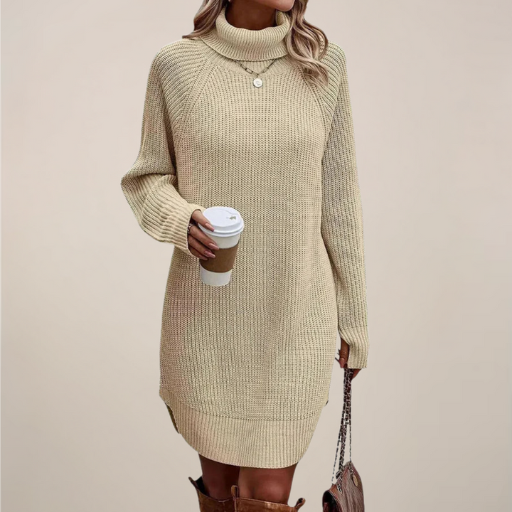 Weiches, warmes Damen Rollkragen-Pulloverkleid für kalte Tage. Perfekt als Langarmkleid für Komfort.