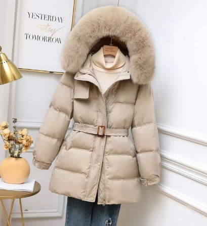 Damen Winter Pufferjacke, wasserabweisend, mit abnehmbarer Kapuze für optimalen Kälteschutz und Outdoor-Aktivitäten.