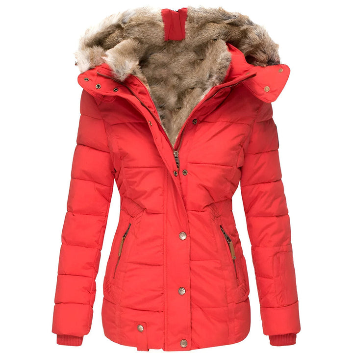 Schlanke Damen Winterjacke, gesteppt, für kühle Tage, elegant & bequem, mit Kapuze.