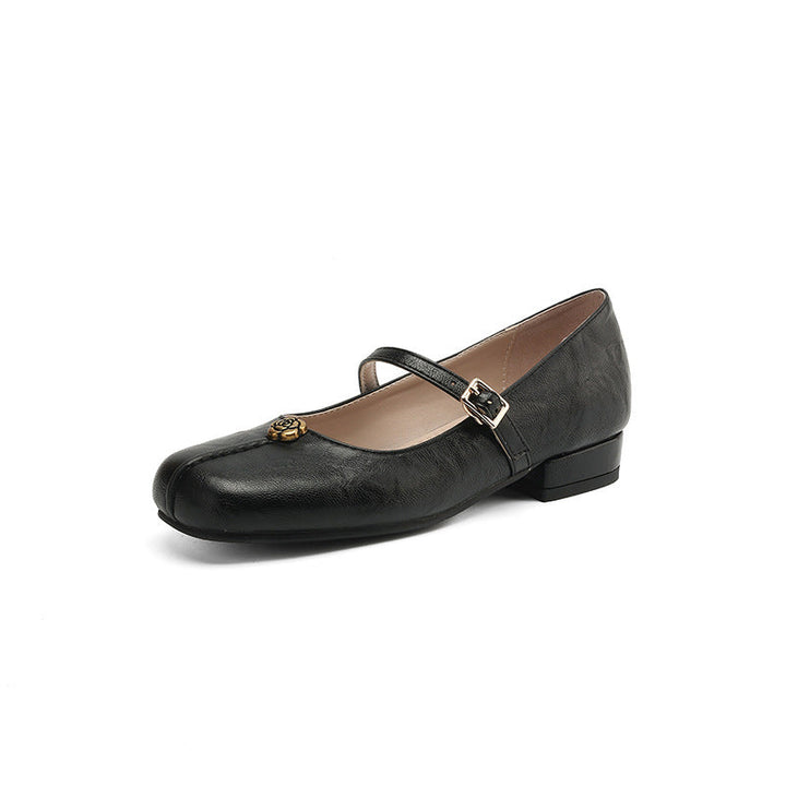 Braune Damen Ballerinas mit Riemen, vielseitige flache Schuhe, perfekt als bequeme Alltagsschuhe im Frühling.