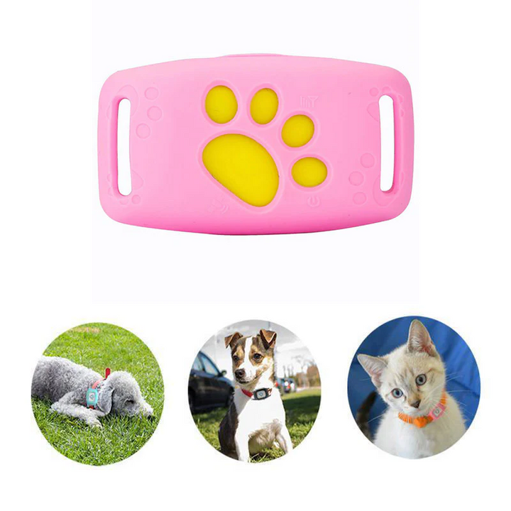 "Elegantes GPS-Katzenhalsband mit Echtzeit-Tracking, schwarz, wasser- und stoßfest, verstellbar für maximale Sicherheit."