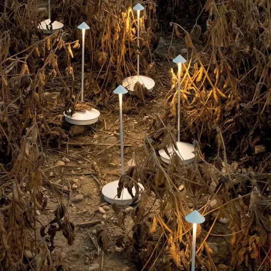 Leuchtende Gartenlampen im Feld, moderne LED-Beleuchtung, energiesparend, Außenbereich.