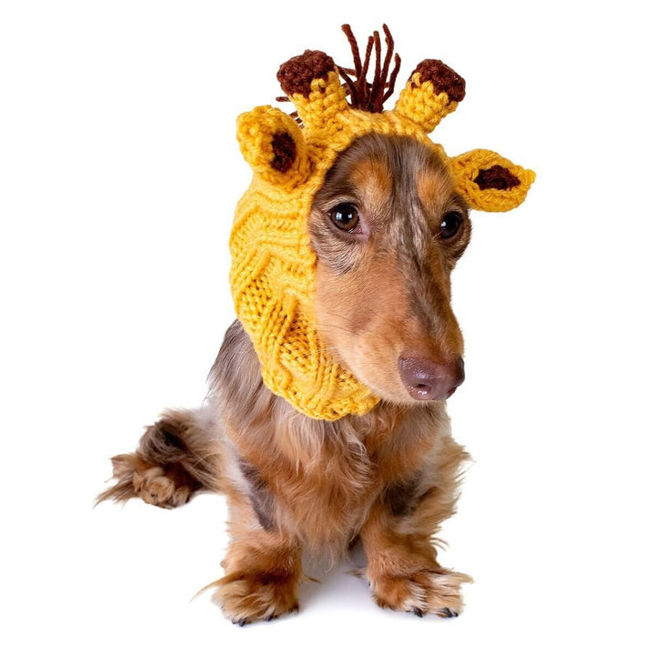 CozyUp Hundemütze – Gestrickt, Wärmend & Süß