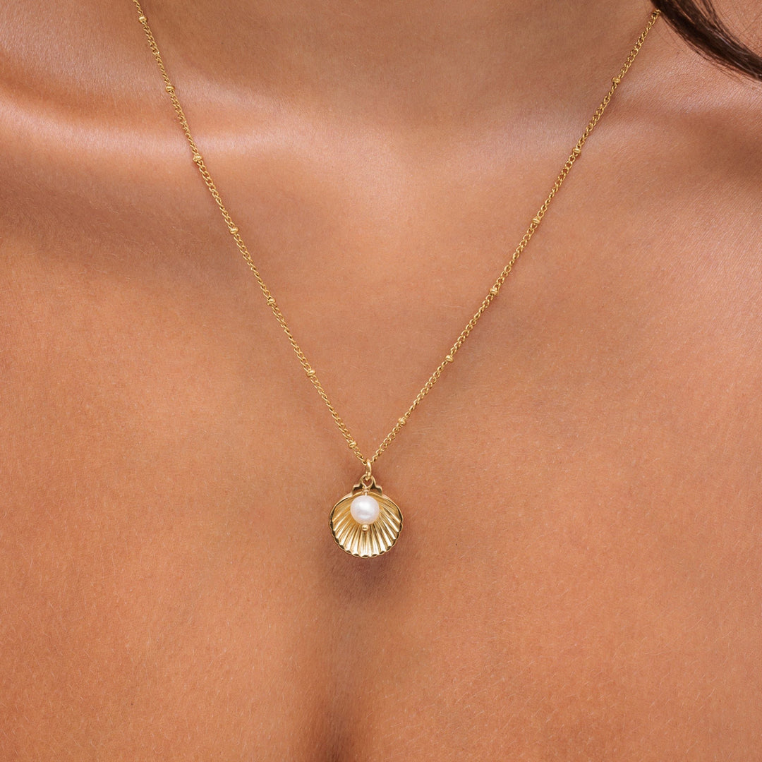 Elegantes Schmuckstück Kette mit Muschel und Perle in Nahaufnahme