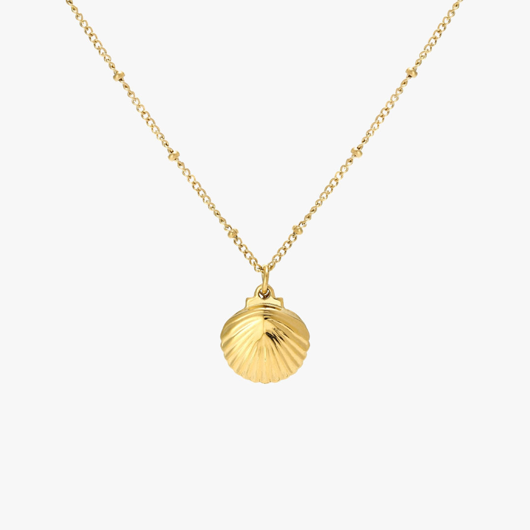 Stilvolle Muschel Kette mit Perle für Frauen als Geschenkidee