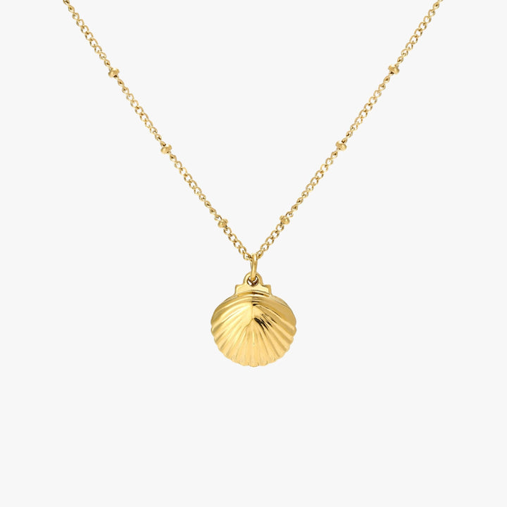 Stilvolle Muschel Kette mit Perle für Frauen als Geschenkidee