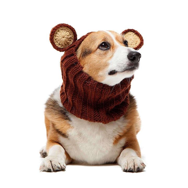 CozyUp Hundemütze – Gestrickt, Wärmend & Süß