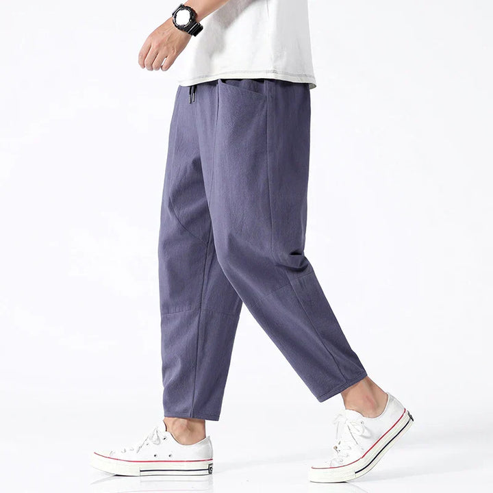 Herren Freizeithose mit geradem Bein in Beige. Lässiger Stil für Frühling & Sommer, bietet Komfort im Alltag.