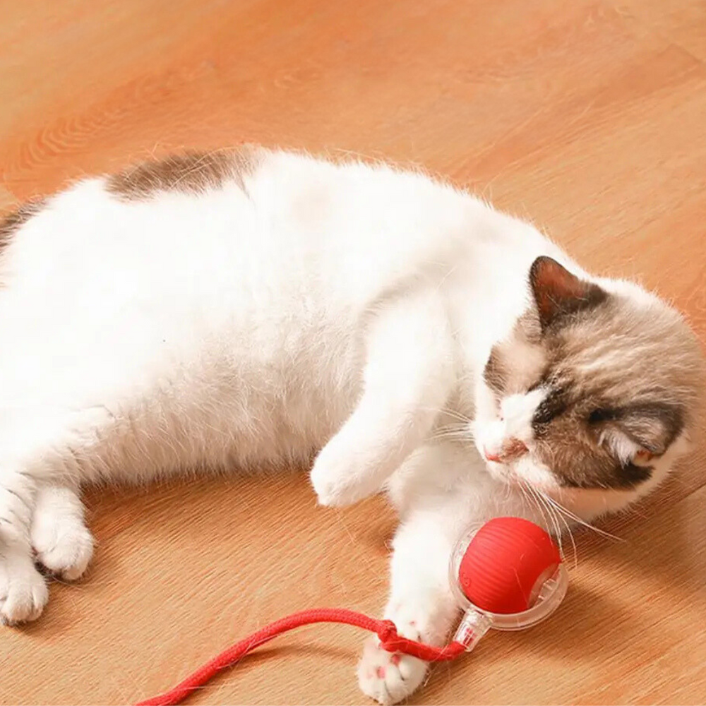Interaktiver Katzenspielzeug-Ball, grau, mit beweglichem Schwanz für aktives Spielen und Jagdinstinkt-Förderung.