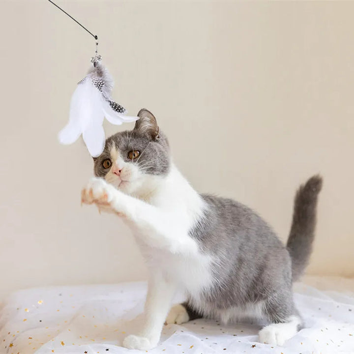 "Interaktives, farbenfrohes Katzenspielzeug mit Federn, stimuliert Jagdinstinkte mit Vogel-Design für tierischen Spielspaß."