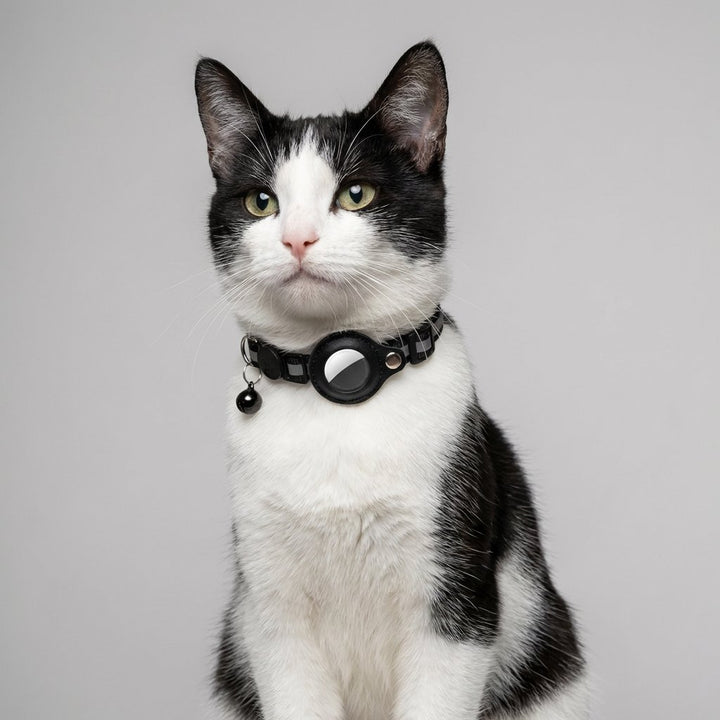 Katzen GPS-Halsband in Schwarz mit Echtzeit-Tracking-Funktion und sicherer Schnalle, ideal für Haustier-Ortung