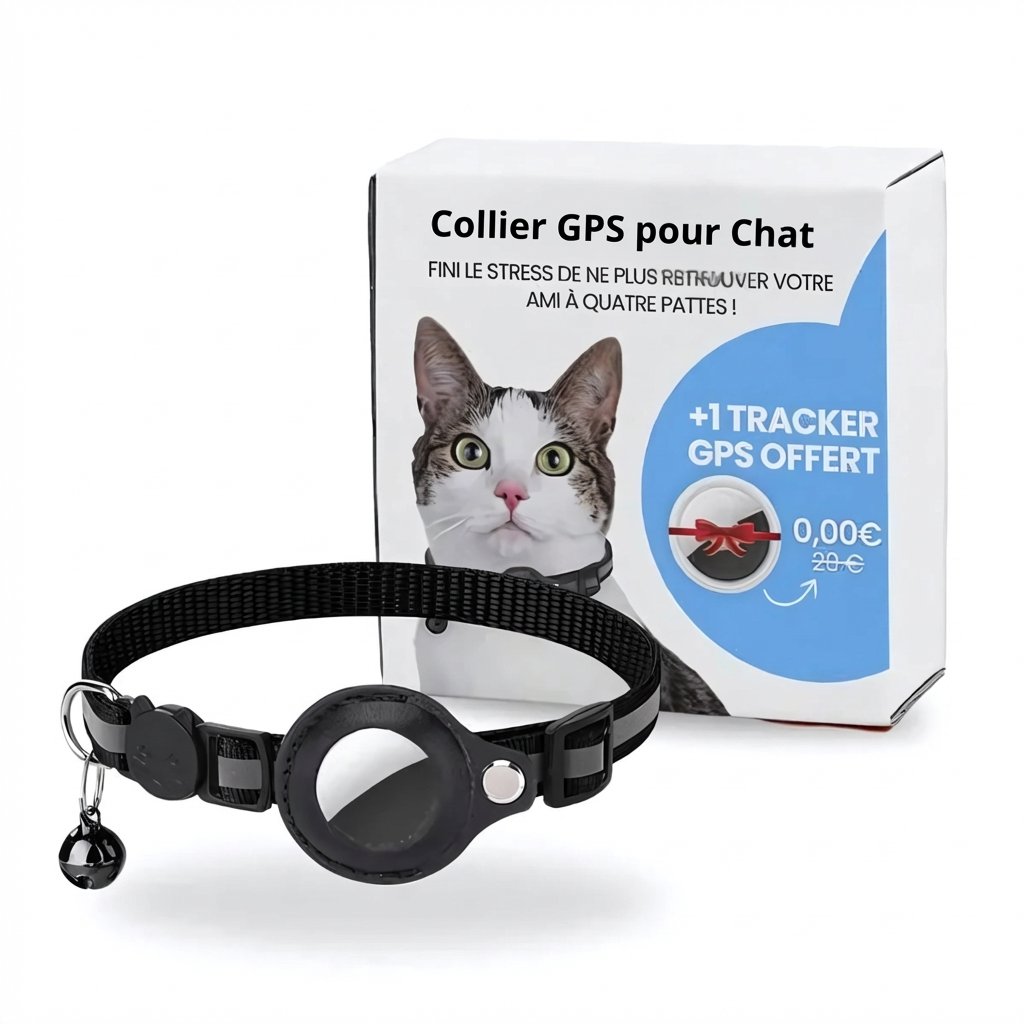 Katzen GPS-Halsband in Schwarz mit Echtzeit-Tracking-Funktion und sicherer Schnalle, ideal für Haustier-Ortung