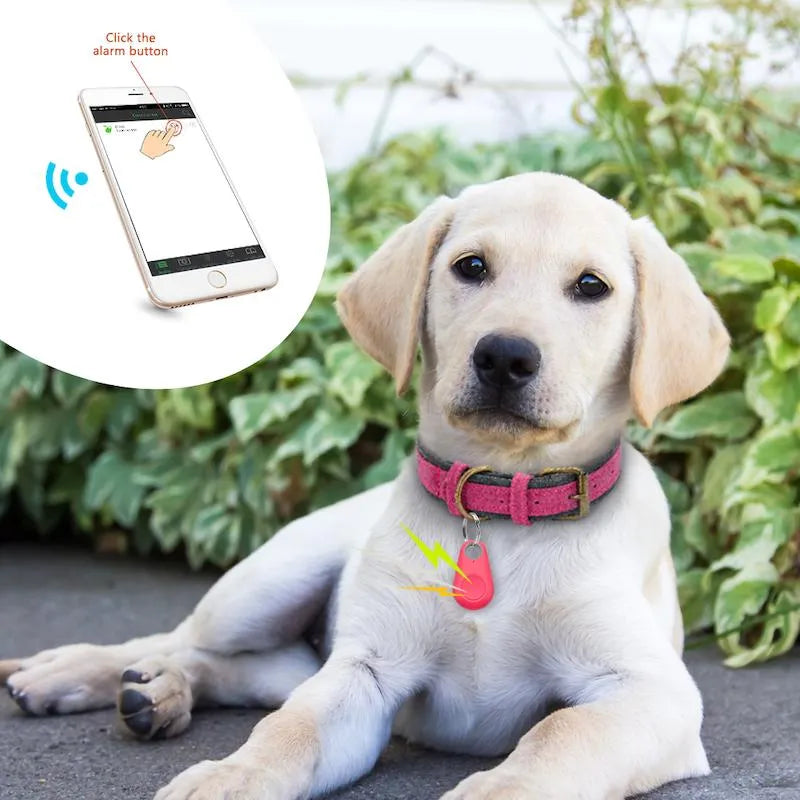 Kompakter GPS-Tracker für Haustiere, wasserdicht, ideal zur Echtzeit-Ortung von Hunden und Katzen, am Halsband befestigt.