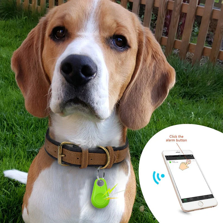 Kompakter GPS-Tracker für Haustiere, wasserdicht, ideal zur Echtzeit-Ortung von Hunden und Katzen, am Halsband befestigt.