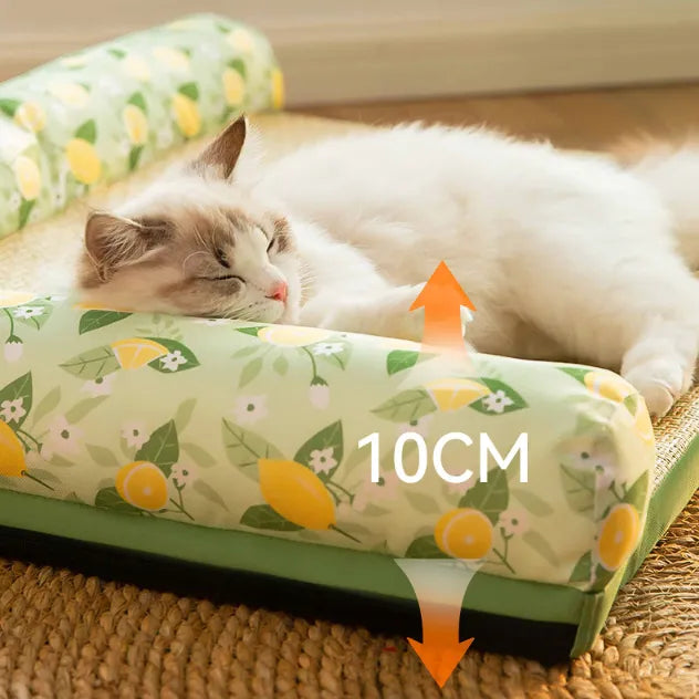 Kühlmatte für Katzen mit erhöhtem Rand, Zitronen-Duft, bietet erfrischenden Komfort und Geborgenheit auf heißen Sommertagen.