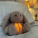 Hase
