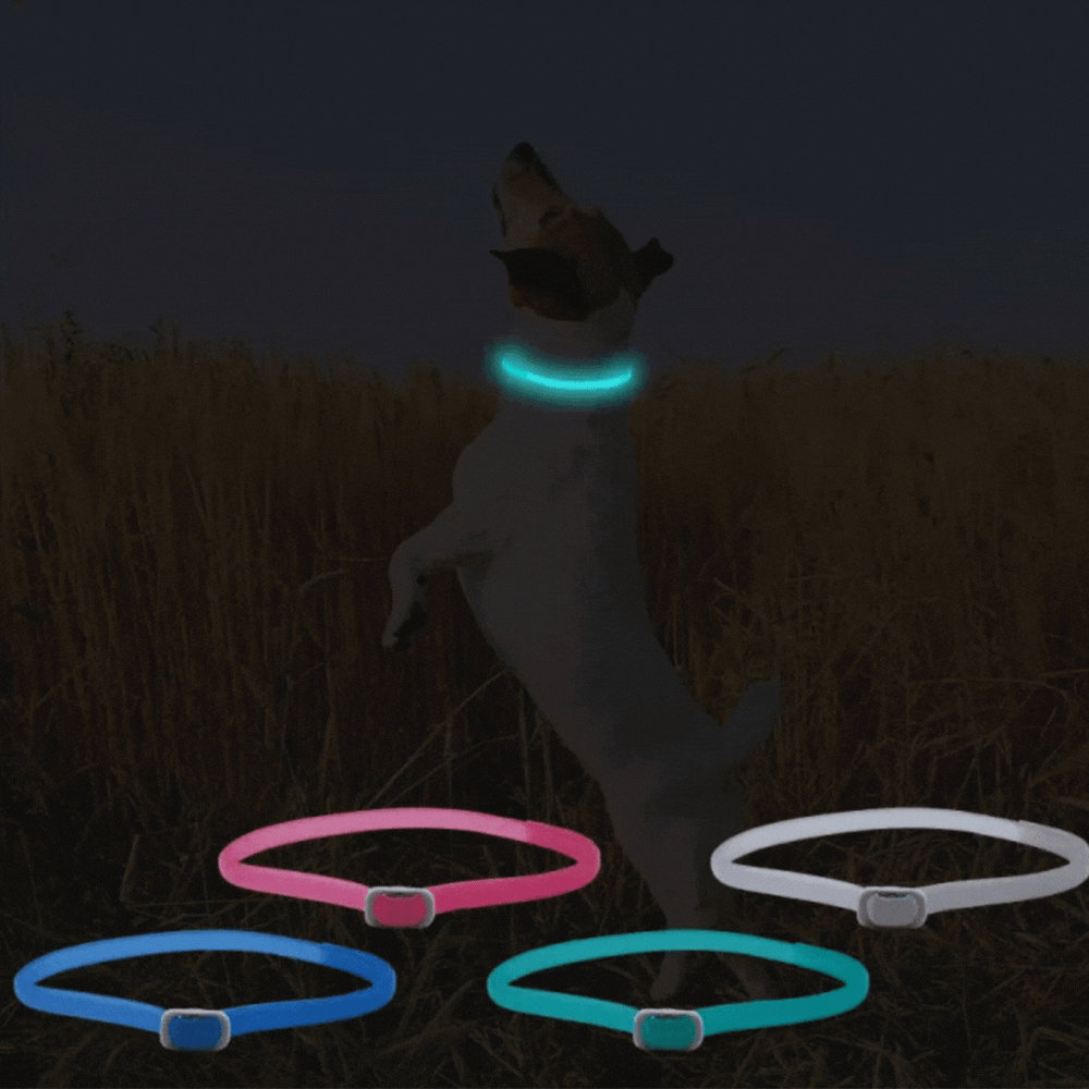 "Leuchtendes Floh- und Zeckenhalsband für Katzen und kleine Hunde, sichtbar in der Nacht, wasserfest und allergiefrei."