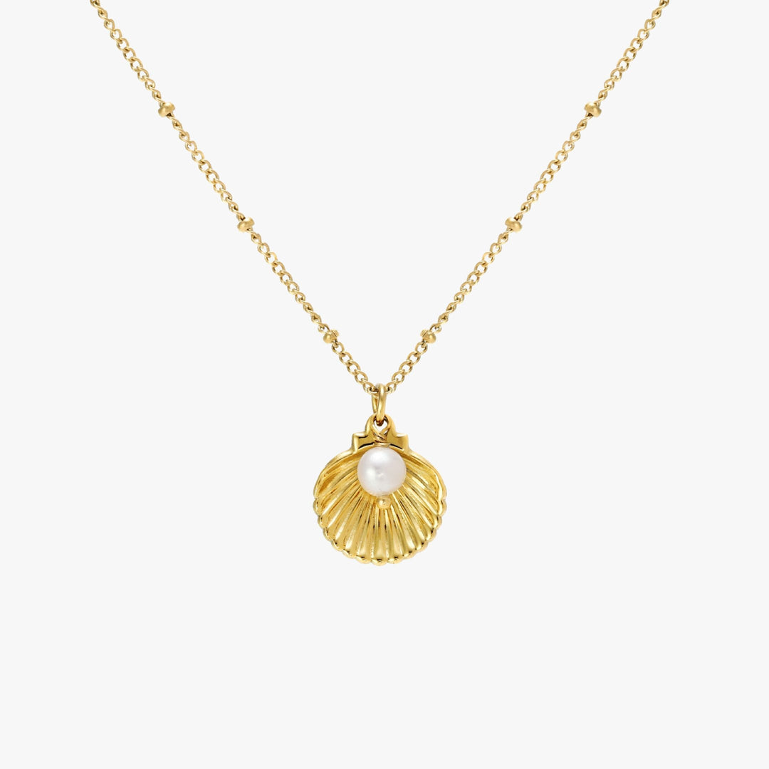 Sommerlicher Damenschmuck Halskette mit Muschel und Süßwasserperle