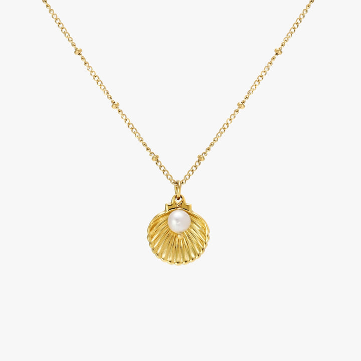 Sommerlicher Damenschmuck Halskette mit Muschel und Süßwasserperle