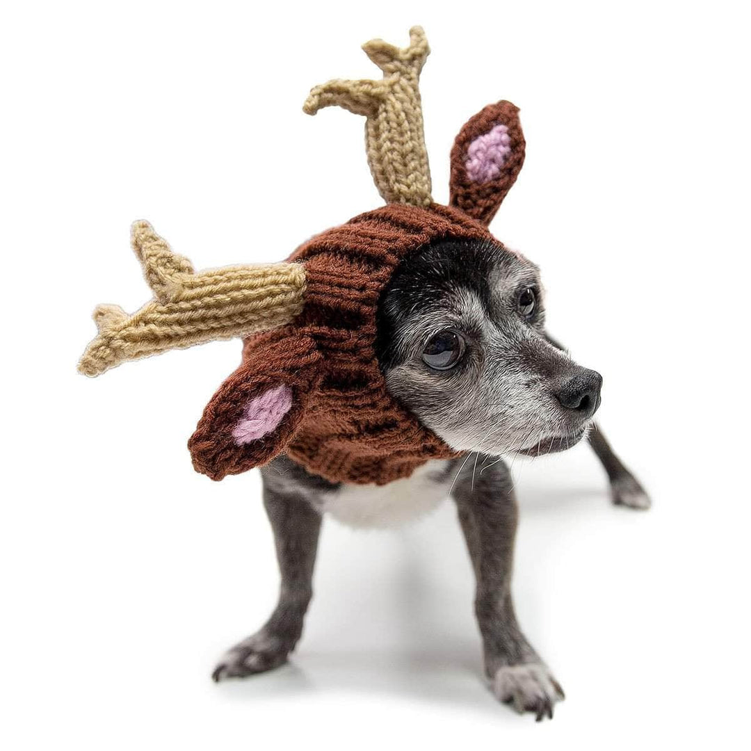 CozyUp Hundemütze – Gestrickt, Wärmend & Süß