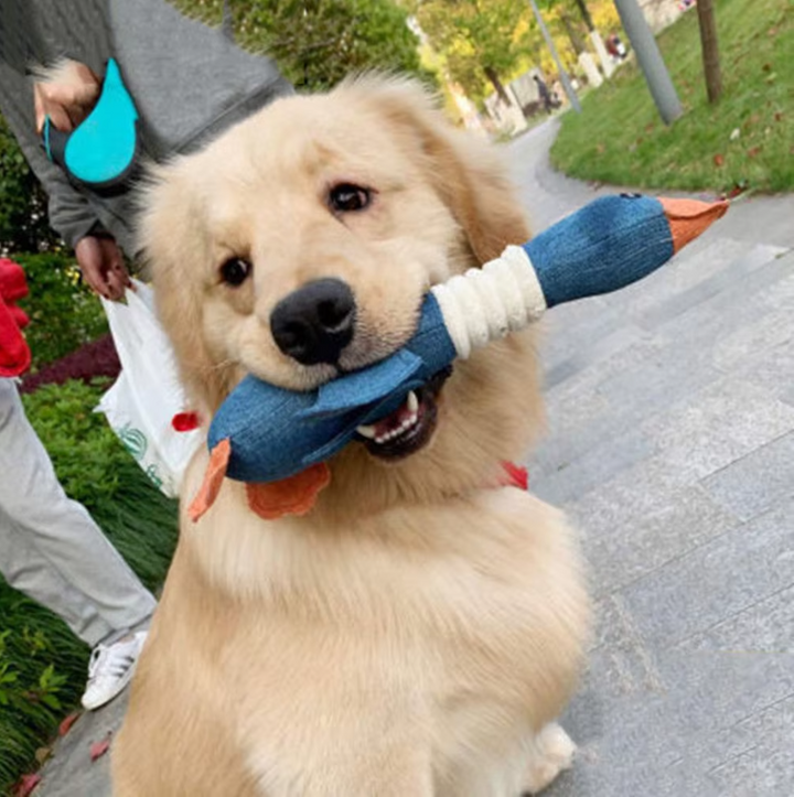 Robustes Hundespielzeug für Kauen und Ziehen, blau und braun, ideal für aktive Hunde, langlebig und reißfest