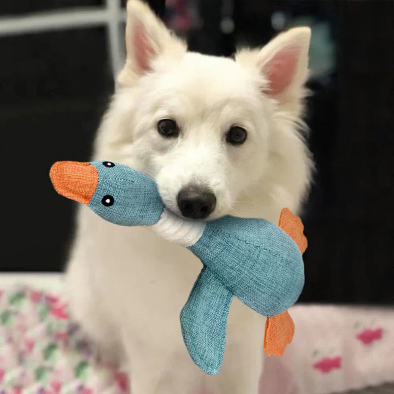 Robustes Hundespielzeug für Kauen und Ziehen, blau und braun, ideal für aktive Hunde, langlebig und reißfest