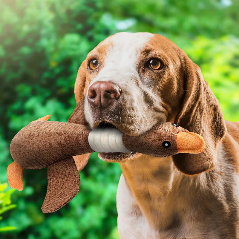 Robustes Hundespielzeug für Kauen und Ziehen, blau und braun, ideal für aktive Hunde, langlebig und reißfest