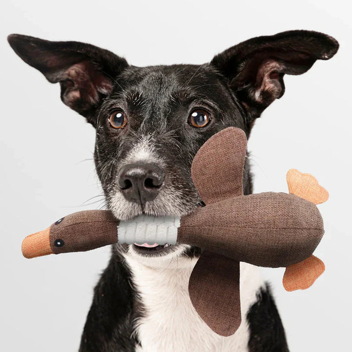 Robustes Hundespielzeug für Kauen und Ziehen, blau und braun, ideal für aktive Hunde, langlebig und reißfest