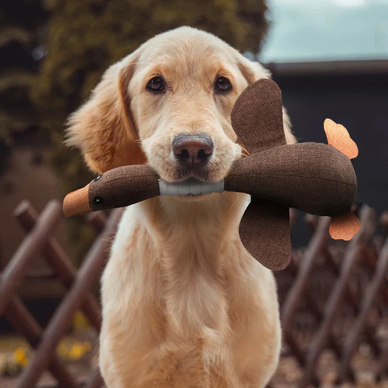 Robustes Hundespielzeug für Kauen und Ziehen, blau und braun, ideal für aktive Hunde, langlebig und reißfest