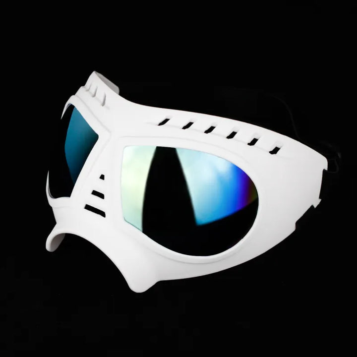 Schutzbrille für Hunde, UV-Schutz, winddicht, modernes Design, ideale Passform für Outdoor-Aktivitäten, komfortabel.
